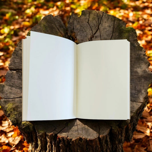 Blank Journal: Black and White mixed media