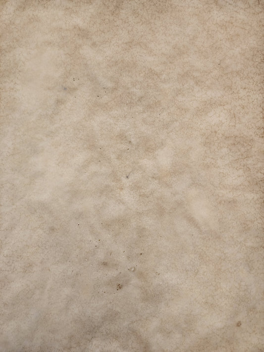 Mixed Color Tea Dyed Paper