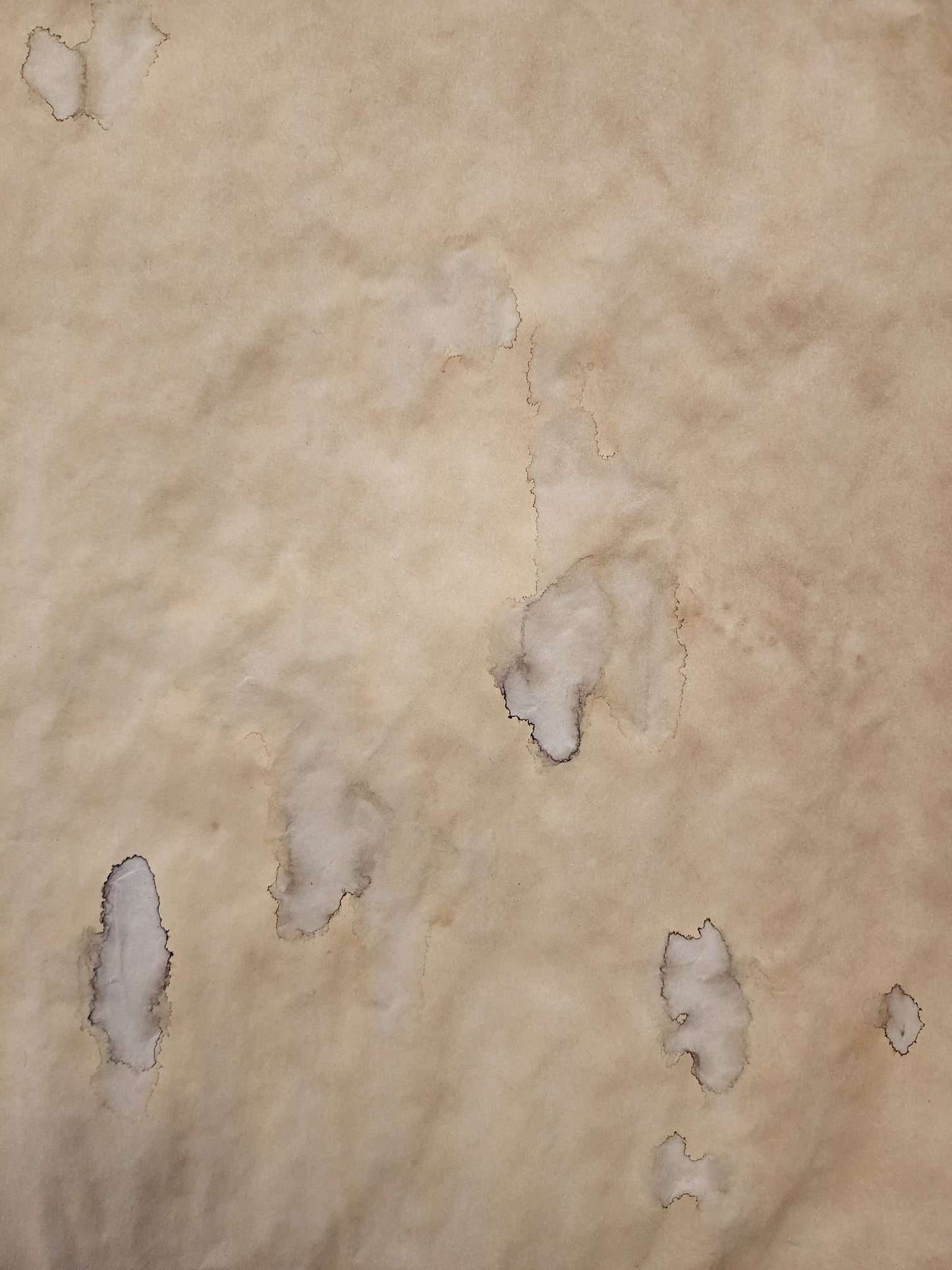 Mixed Color Tea Dyed Paper