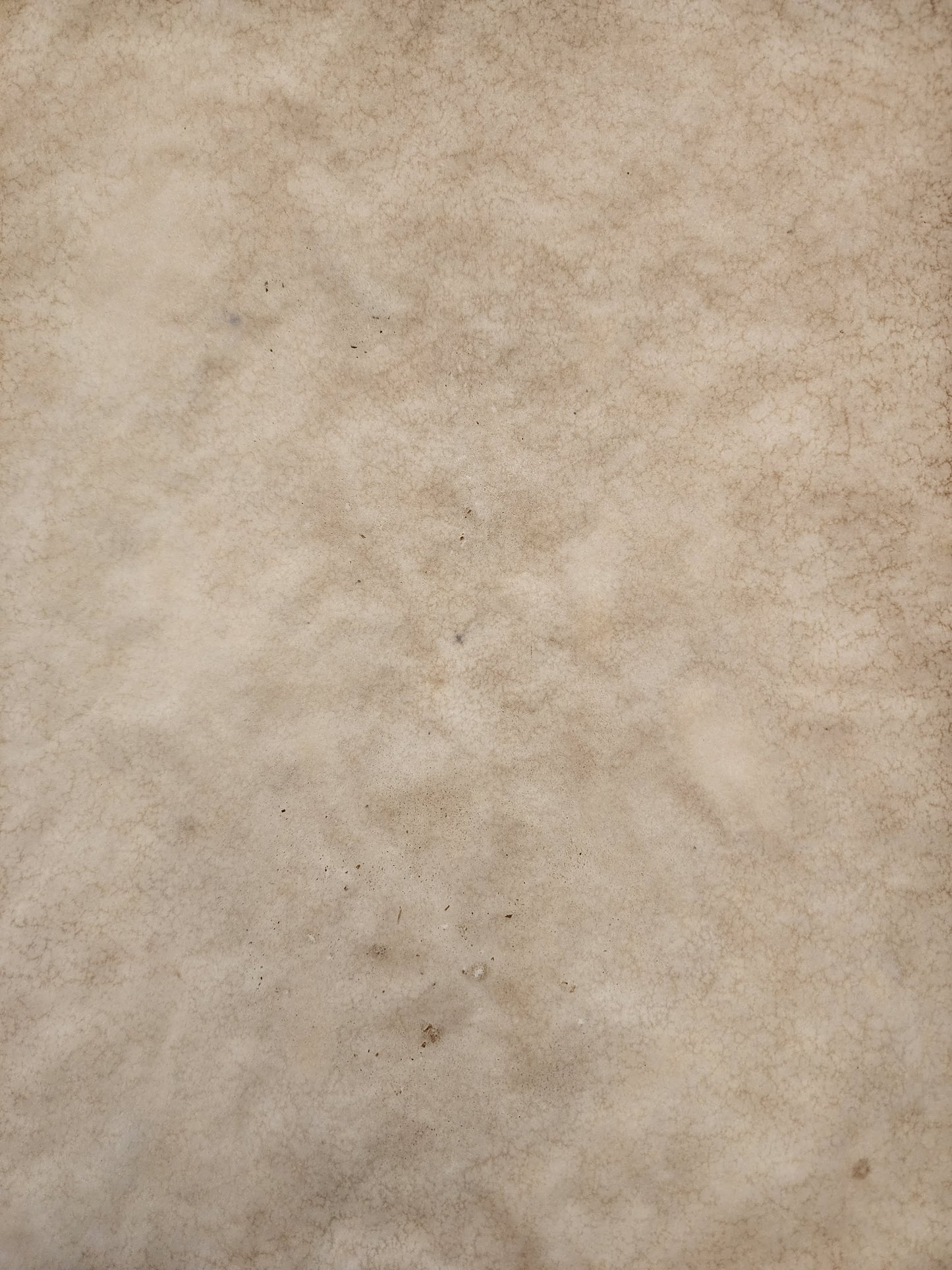 Mixed Color Tea Dyed Paper