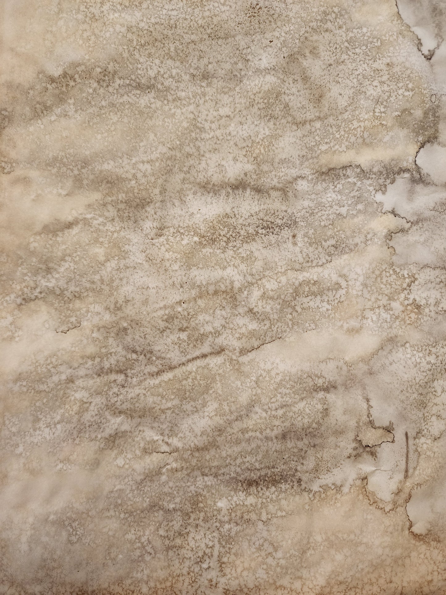 Mixed Color Tea Dyed Paper